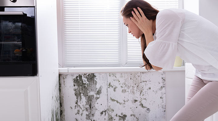 Mold and fungi prevention using antimicrobial coating