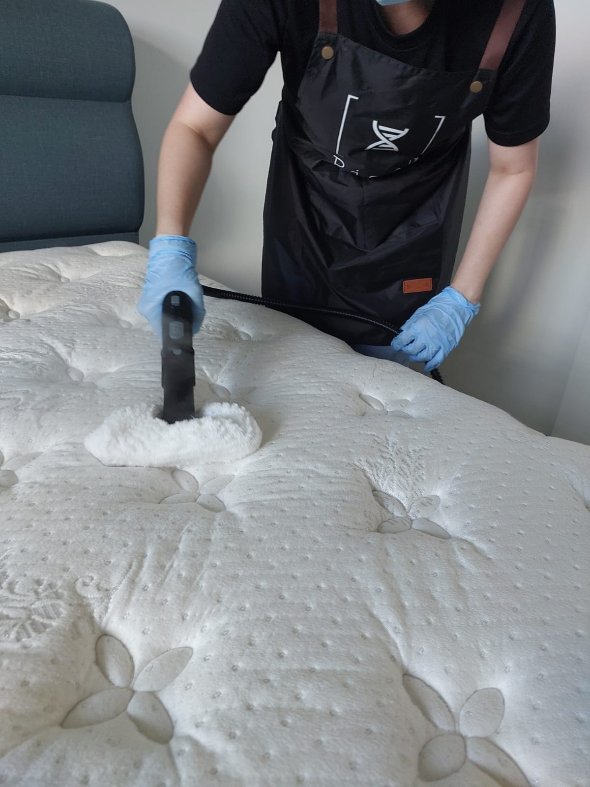 Pico X Steam Cleaning Sofa and Mattress