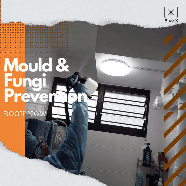 Mould Protection - Anti-mould and Anti-Fungi Coating Service Pico X