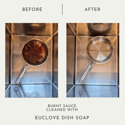 Euclove All Natural Dish Soap Pico X 