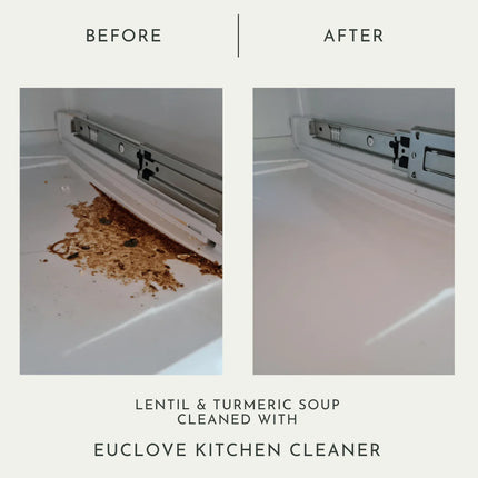 Euclove All Natural Kitchen Cleaner Pico X 