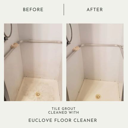 Euclove All Natural Floor Clener Pico X 